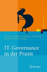 IT-Governance in der Praxis - 