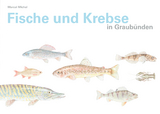 Fische und Krebse in Graubünden - Marcel Michel