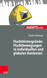 Fluchthintergründe: Fluchtbewegungen in individuellen und globalen Kontexten - Sibylle Rothkegel