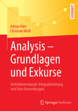 Analysis – Grundlagen und Exkurse - Adrian Hirn, Christian Weiß