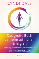 Das große Buch der feinstofflichen Energien - Cyndi Dale