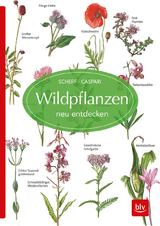 Wildpflanzen neu entdecken - Scherf, Gertrud; Caspari, Claus