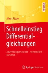 Schnelleinstieg Differentialgleichungen - Albert Fässler