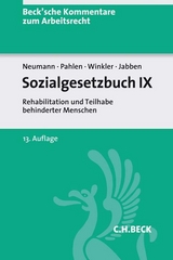 Sozialgesetzbuch IX - Dirk Neumann, Ronald Pahlen, Jürgen Winkler, Jürgen Jabben, Hermann Wilrodt, Otfried Gotzen