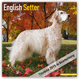 English Setter Calendar 2019 - Avonside Publishing Ltd