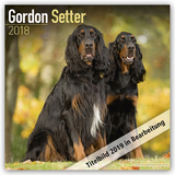 Gordon Setter Calendar 2019 - Avonside Publishing Ltd