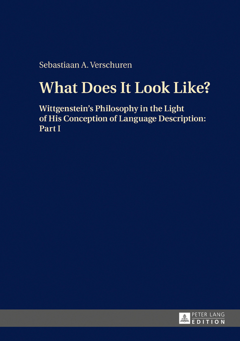 What Does It Look Like? - Sebastiaan A. Verschuren