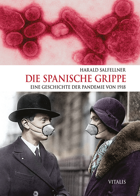 Die Spanische Grippe - Harald Salfellner