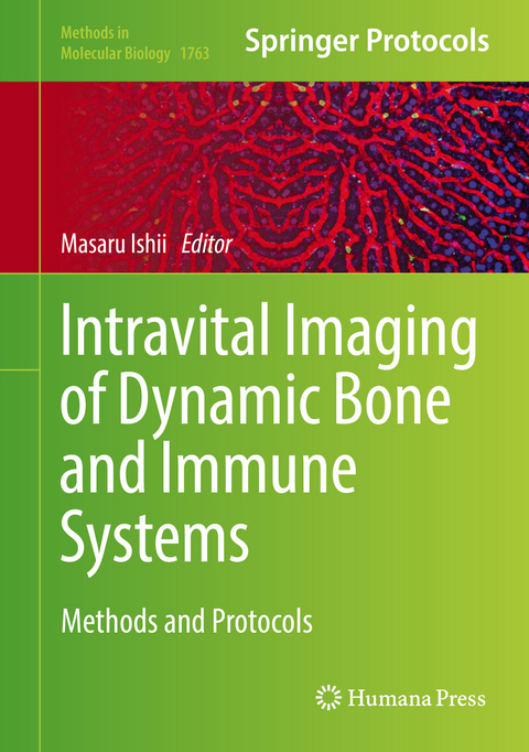 Intravital Imaging of Dynamic Bone and Immune Systems - 