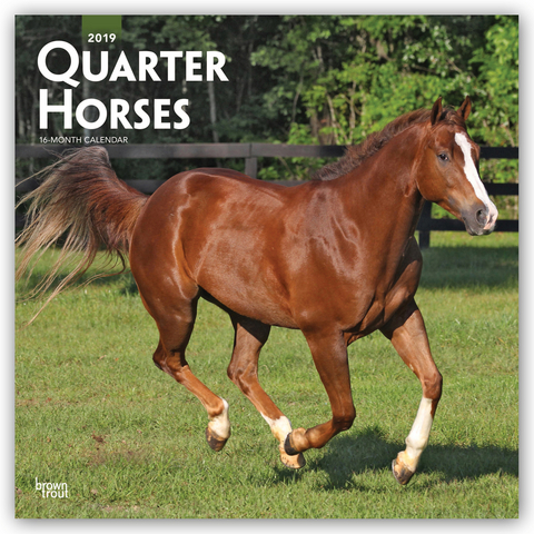 Quarter Horses 2019 - 18-Monatskalender