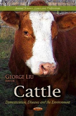 Cattle - 