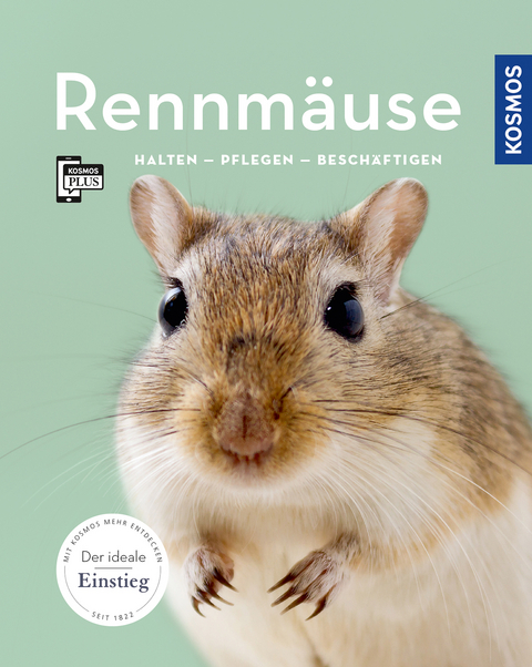 Rennmäuse - Anja Steinkamp