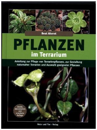 Pflanzen im Terrarium - - B Akeret