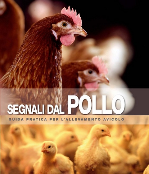 Segnali dal Pollo - 