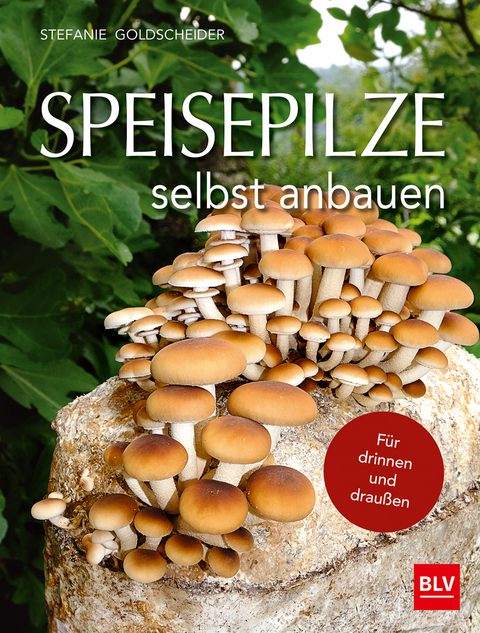 Speisepilze selbst anbauen - Stefanie Goldscheider