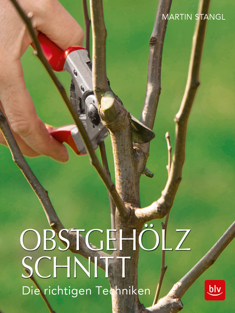 Obstgehölzschnitt - Martin Stangl