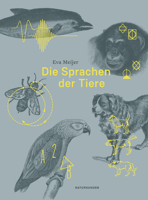 Die Sprachen der Tiere - Eva Meijer