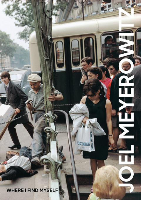 Joel Meyerowitz: Where I Find Myself - 