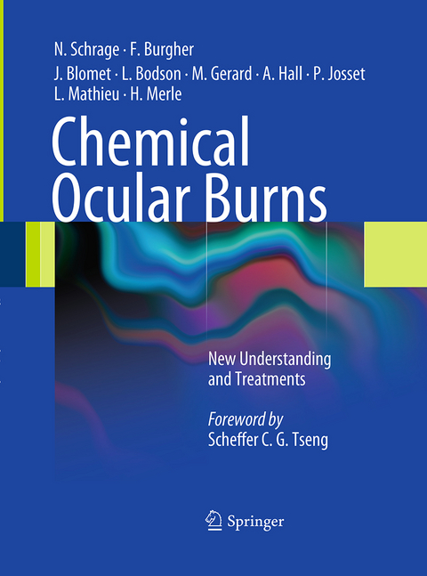 Chemical Ocular Burns - Norbert Schrage, François Burgher, Jöel Blomet, Lucien Bodson, Max Gerard, Alan Hall, Patrice Josset, Laurence Mathieu, Harold Merle