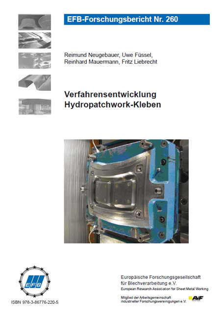 Verfahrensentwicklung Hydropatchwork-Kleben - Reimund Neugebauer, Uwe Füssel, Reinhard Mauermann, Fritz Liebrecht