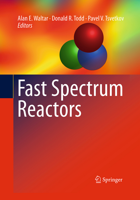 Fast Spectrum Reactors - 