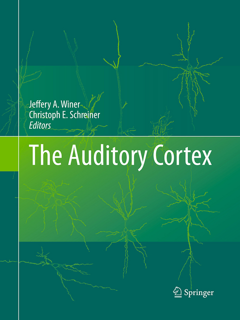 The Auditory Cortex - 