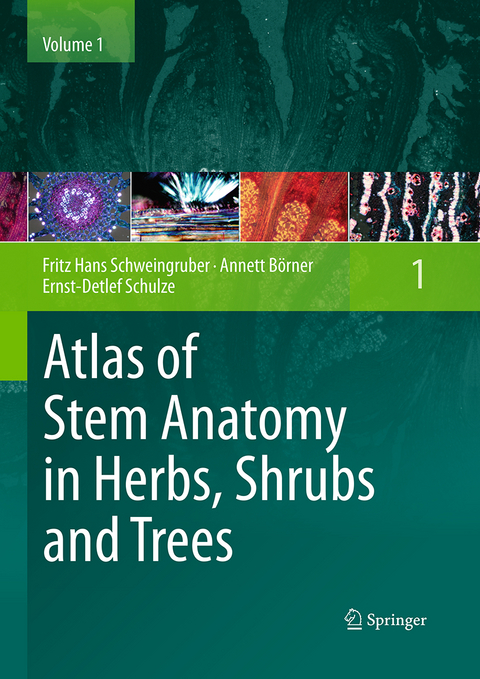 Atlas of Stem Anatomy in Herbs, Shrubs and Trees - Fritz Hans Schweingruber, Annett Börner, Ernst-Detlef Schulze