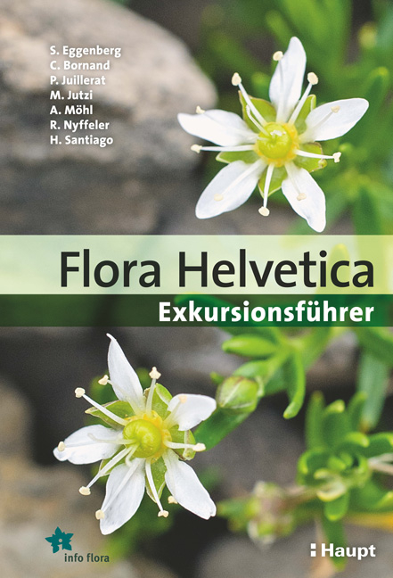 Flora Helvetica - Exkursionsführer - Stefan Eggenberg, Christophe Bornand, Philippe Juillerat, Michael Jutzi, Adrian Möhl, Reto Nyffeler, Helder Santiago