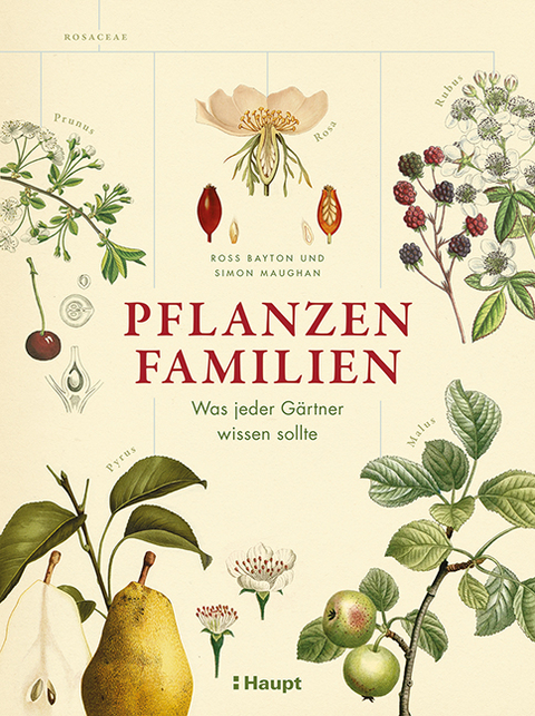 Pflanzenfamilien - Ross Bayton, Simon Maughan