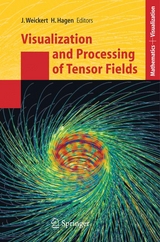 Visualization and Processing of Tensor Fields - 