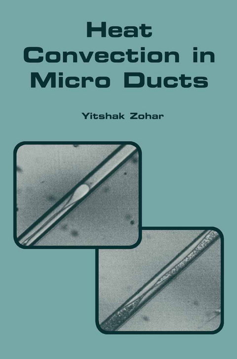 Heat Convection in Micro Ducts - Yitshak Zohar