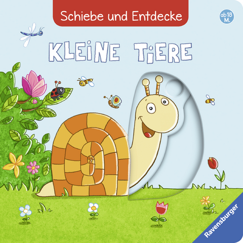 Schiebe und Entdecke: Kleine Tiere - Sandra Grimm