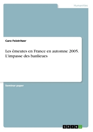 Les e meutes en France en automne 2005. L'impasse des banlieues - Caro Feistritzer