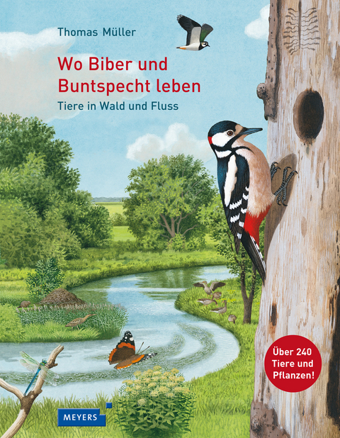 Wo Biber und Buntspecht leben - Thomas Müller