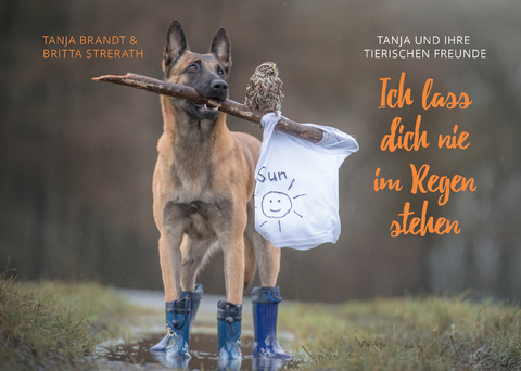 Ich lass dich nie im Regen stehen - Tanja Brandt, Britta Strerath