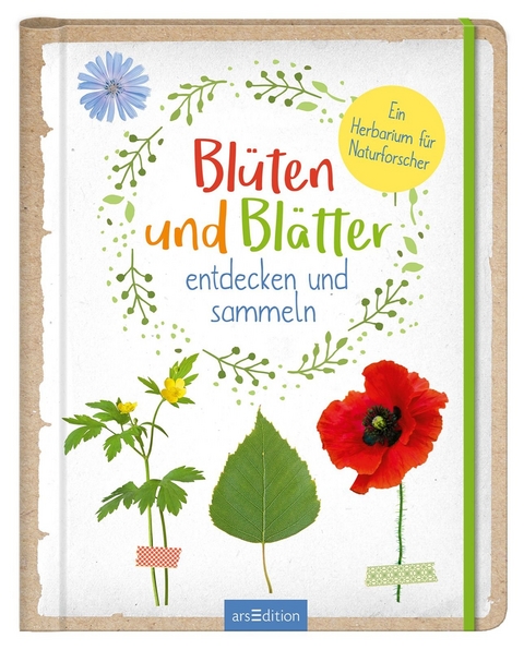 Blüten und Blätter entdecken und sammeln - Anna Linstadt