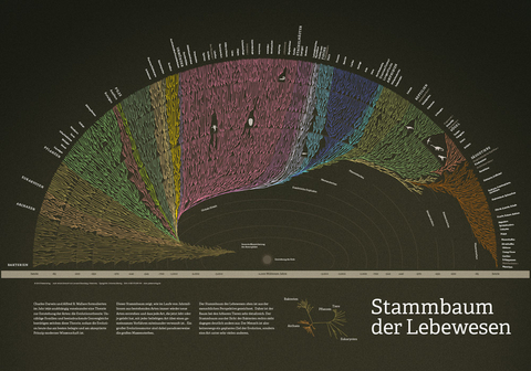 Stammbaum der Lebewesen (Poster) - Christian Büning