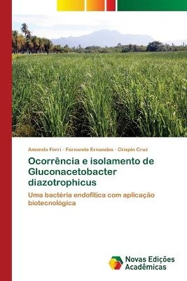 Ocorrência e isolamento de Gluconacetobacter diazotrophicus - Amanda Ferri, Fernanda Ernandes, Crispin Cruz