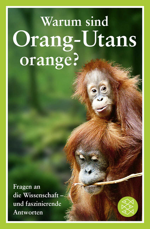 Warum sind Orang-Utans orange? - 