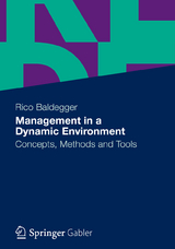 Management in a Dynamic Environment - Rico Baldegger