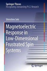 Magnetoelectric Response in Low-Dimensional Frustrated Spin Systems - Shinichiro Seki