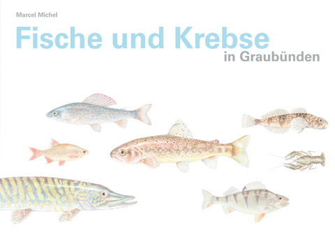 Fische und Krebse in Graubünden - Marcel Michel