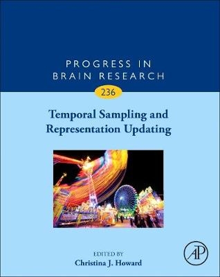 Temporal Sampling and Representation Updating - 