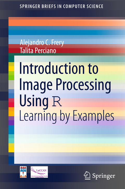 Introduction to Image Processing Using R - Alejandro C. Frery, Talita Perciano