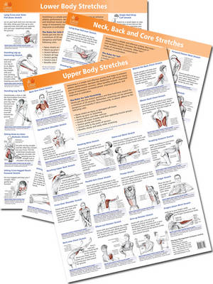 Anatomy of Stretching Posters - Neck/Back/Core - B Walker