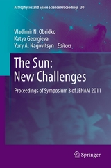 The Sun: New Challenges - 