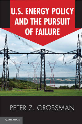 US Energy Policy and the Pursuit of Failure - Peter Z. Grossman