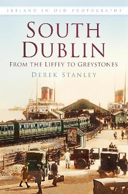 South Dublin: From the Liffey to Greystones - Derek Stanley