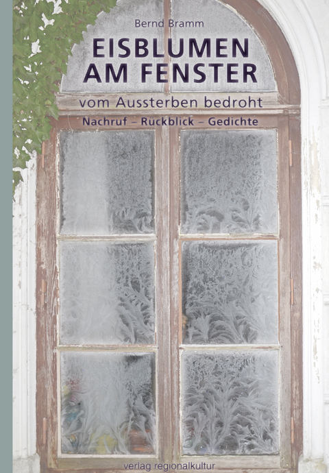 Eisblumen am Fenster - Bernd Bramm