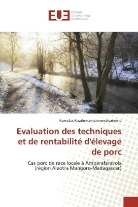 Evaluation des techniques et de rentabilitÃ© d'Ã©levage de porc - Romulus Rasolomampiononaharimino